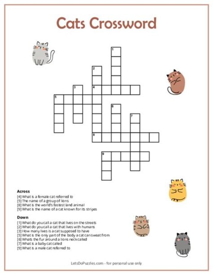 LA Times One with joint custody of a pet cat? Crossword Clue